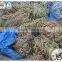 NEW Welded G80 Iron Link Chain Or Anchor Chain STEEL CHAIN