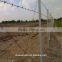 Low Price Galvanized/PVC Coated Barbed Wire (20yearsfactory)