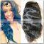 100% brazilian human hair wig halle natural black color lace front wig