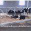 Free stall, high quality cow lying bar, cattle free stall