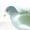 Dove hunting decoy,pigeon hunting decoys,,plastic dove hunting decoys