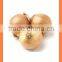 bulk chinese Best quality fresh yellow onion