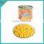 425g Canned Super Sweet Corn From Factory Directly