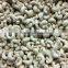 VIETNAM CASHEW NUTS/ CASHEW KERNELS WW240/ WW320/ WW450/ WS/ LP/ SP