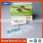 Aflatoxin M1 Rapid Diagnostic Test Strip (Milk Aflatoxin M1Test Kit)