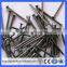High Quality Common Wire Nail/Black Iron Common Nail(Guangzhou Factory)