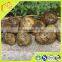 Green Raw Propolis Sodium Hydroxide Solution For Wine With Raw Material