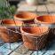handmade steel wire basket for plant stainless steel wire basket for plant