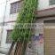 SJ030937 artificial indoor bamboo tree with leaves for decoration