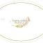 beautiful decaled white oval plate