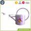 Plant galvanized colour metal garden watering can
