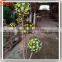 Trade assurance supplier artificial topiary animal garden topiary frames metal frames for topiary