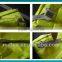 High Visibility Reflective Safety School Backpack