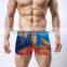 2016 New Style Men Brand of high Quality Underwear Cotton Print Classic Male Boxer