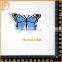 Embroidery Butterfly Design Trimmings And Embroidery Patch