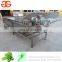 Good Quality Automatic Blueberry Pepper Orange Date Bubble Washer Leek Cabbage Leafy Vegetable Washing Machinery