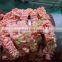 Industrial meat bone separator machine /chicken bone and meat deboner