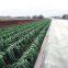 CROP COVER (CLIMATE NET) BY 10M LENGTH