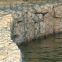 Gabion Gabion Galvanized River Dam Slope Protection Gabion Retaining Wall Stone Mesh Box Lead Wire Gabion