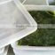 Good Flavor Hiyashi/Chuka Salad Frozen Wakame Seaweed