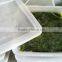 Best price of frozen seasoned wakame