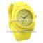FT1203B Hot sale japan movement plastic cheap promotional watches