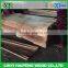 good quality ratory cut 0.3mm grade A natural water gum wood face veneer instead of natural gurjan face veneer