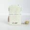 amplifier hearing aids AXON F -13T axon china hearing aid