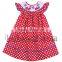 Adorable car hand smocked bishop dress for Independence