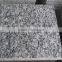 China spray white granite tile prices