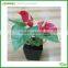 artificial anthurium plant potting bonsai