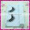 Private label false eyelashes with packaging