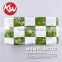 KW-0006 2016 New Fashion disposable Gree White Food tray Small clear plastic boxes with lids Food packing containers(215*118*24)