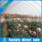 Single-span agricultural greenhouses type modern commercial agricultural green house