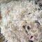 Best Grade PU scrap bra foam bales