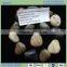 Polished river stone pebbles