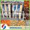 Best price and high quality pine nuts roasting machine
