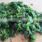 IQF Spinach Leaf IQF with good quality for sale