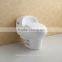 White Glazed Ceramic Cheap One Piece Toilet