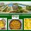 save 10% higher quality canned sweet corn 425g