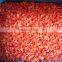 hot sell Frozen/IQF red pepper in 2015