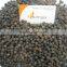 VietNam High Quality Black Pepper 500 g/l - 550g/l (website Visimex02)