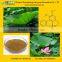 GMP Factoty Supply Natural Lotus Leaf Plant Extract