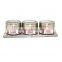 USA and French countryside gourmet spice blend collection-3 magnetic tins