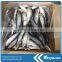 Pacific mackerel frozen marine fish seafood supplier