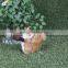 custom animal big eyes plush toys philippines squirrel plush toys