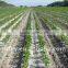 farm garden drip irrigation tape drip strip for irrigation system