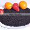 95%min soluble humic acid powder and granular compound bio fertilizer