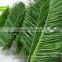 GNW APM096 artificial palm tree leaves decorative for palm trees canada