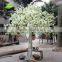BLS056 GNW 10ft Indoor white wedding tree artificial cherry blossom tree for wedding decoration